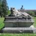 Lionne et ses petits