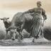 Au Pâturage, ou Vache et vachère, ou L'Elevage