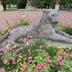 Lionne