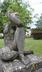 Femme assise