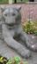 Lionne