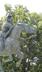 Un compagnon de Du Guesclin, à Cocherel dit depuis 1920, Bertrand Du Guesclin 