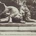 Lion et lionne lutinant