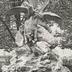 Aigle et vautours se disputant un ours mort